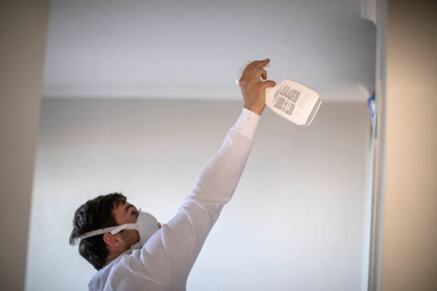 Best Localized Mold Remediation (e.g., coastal areas, humid climates) in Shawnee, OK